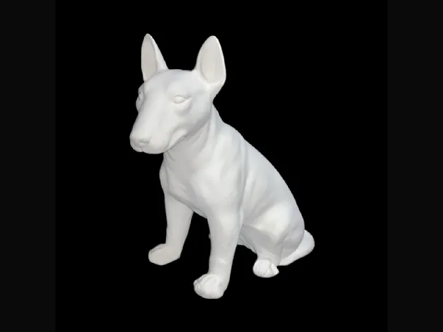 Bull Terrier