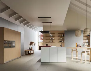 Cucina Moderna con isola D12 e D23 di Doimo Cucine